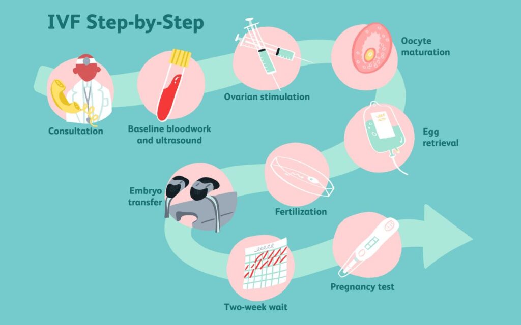 In Vitro Fertilization