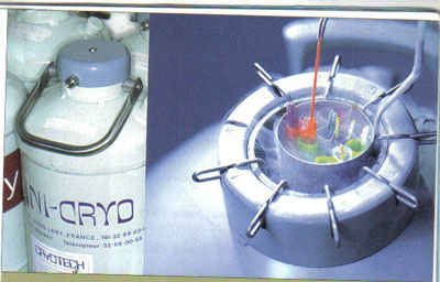 Cryopreservation-Vitrification